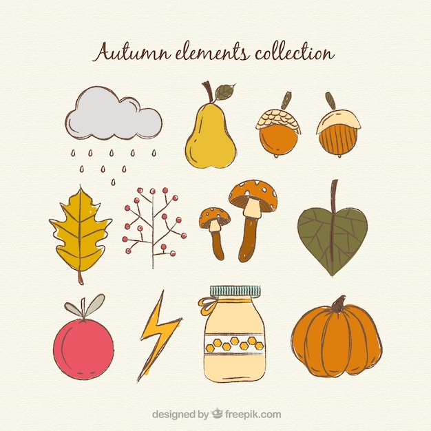 Free vector beautiful hand drawn autumn elements