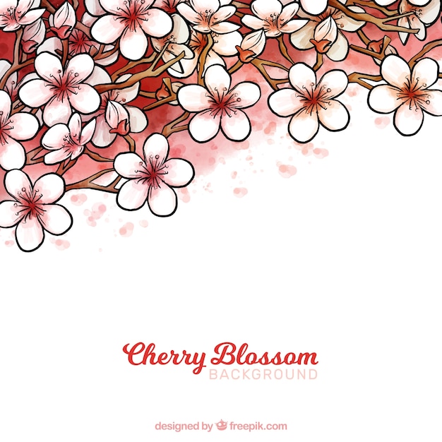 Free vector beautiful hand drawn cherry blossom background