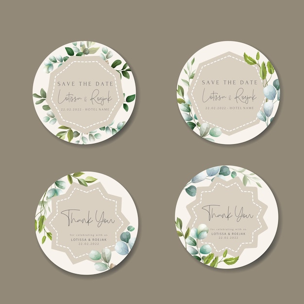 beautiful hand drawn eucalyptus leaves label collection