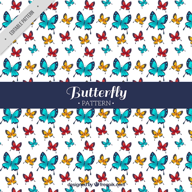 Beautiful pattern with colored butterflies in flat design