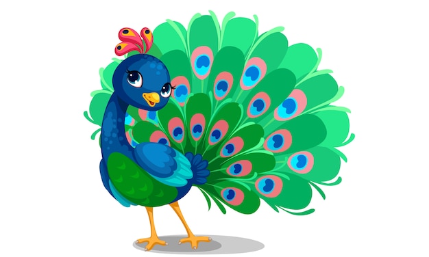 Free Vector beautiful peacock cartoon outline drawing to color