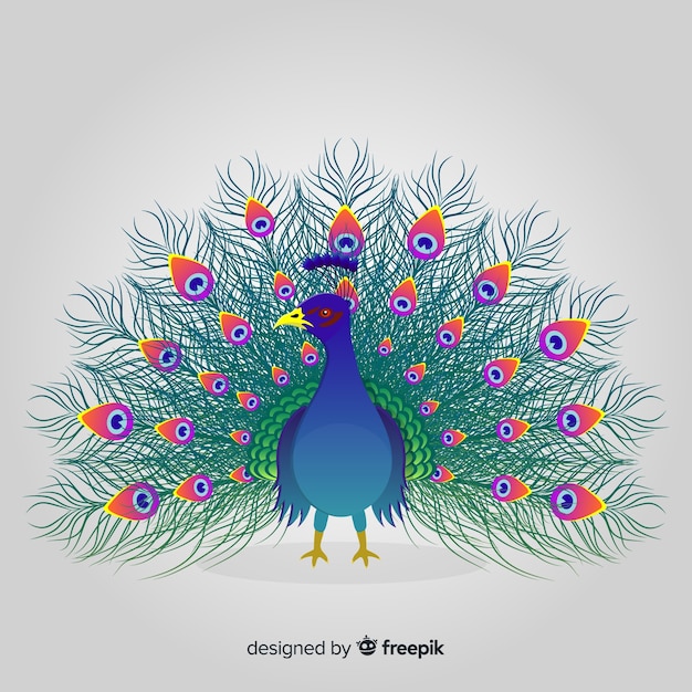 Beautiful peacock design