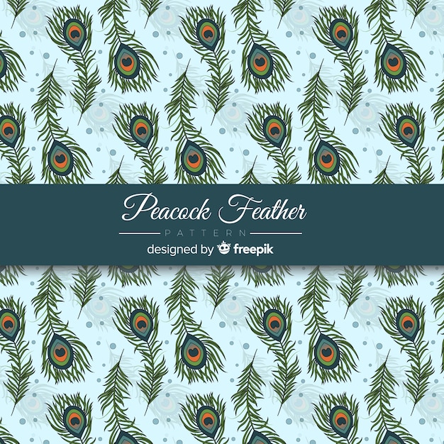 Free Vector beautiful peacock feather pattern design