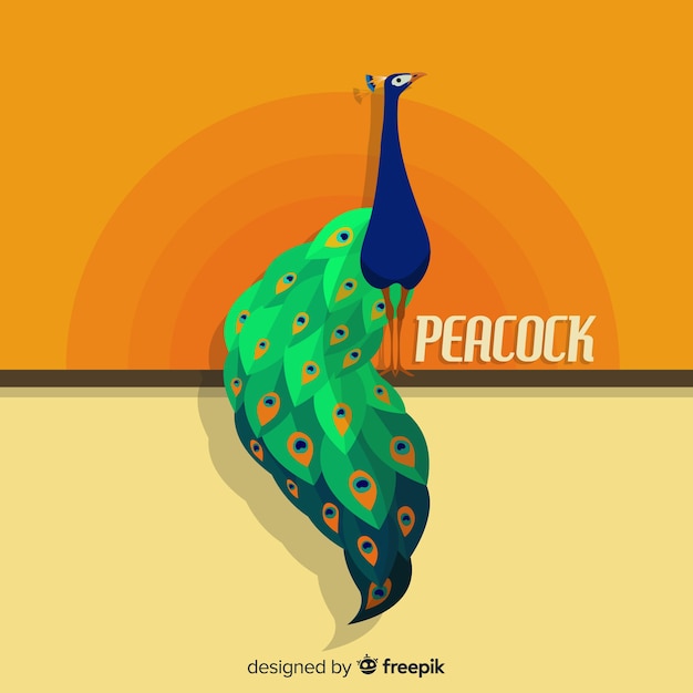 Beautiful peacock in flat style