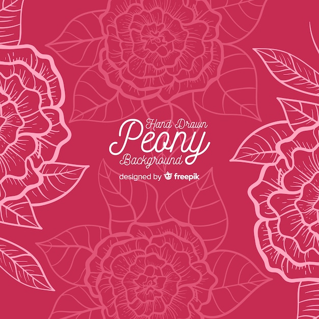 Free Vector beautiful peony flower background