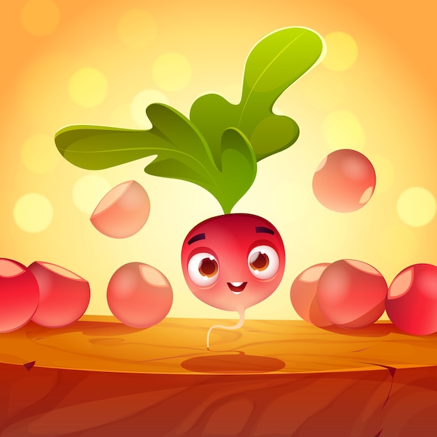 Beautiful radish illustration background