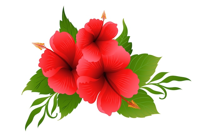 Beautiful Red Hibiscus Flower Design