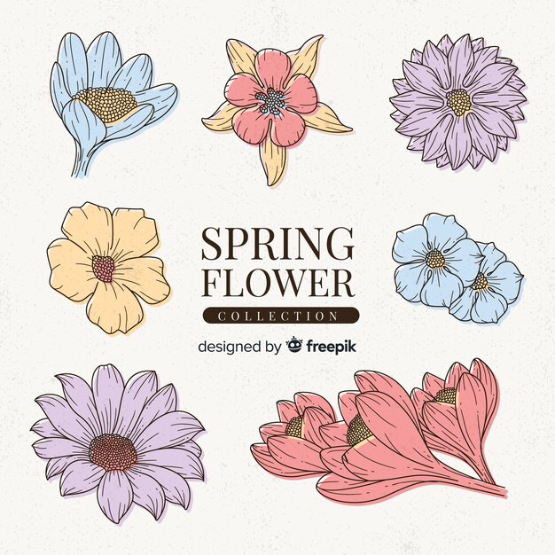 Beautiful spring flowers collection