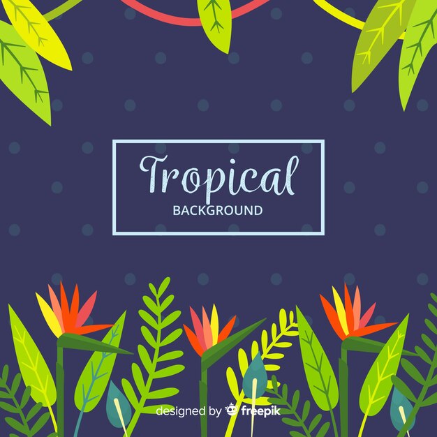 Beautiful tropical background