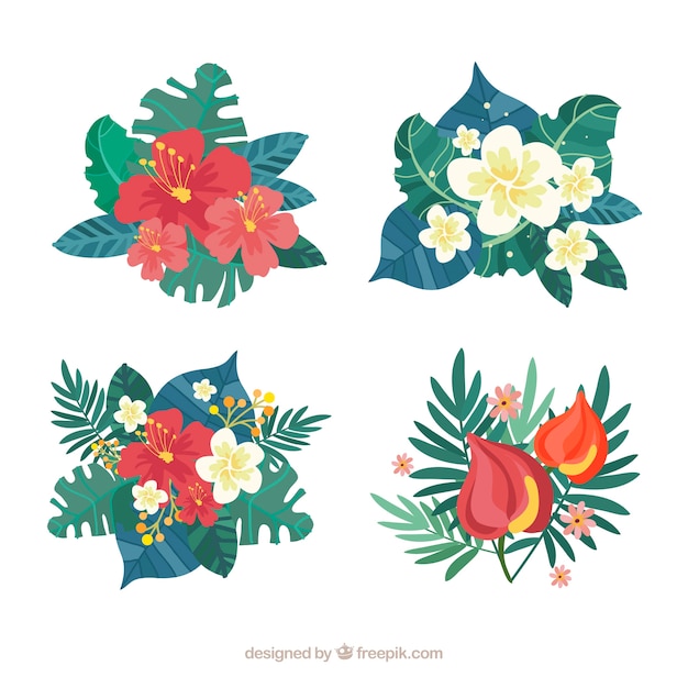 Beautiful tropical flowers set 