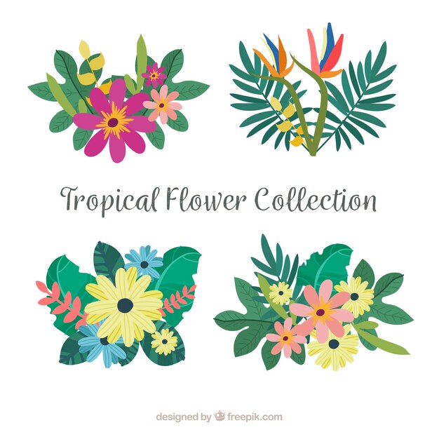 Beautiful tropical flowers set 