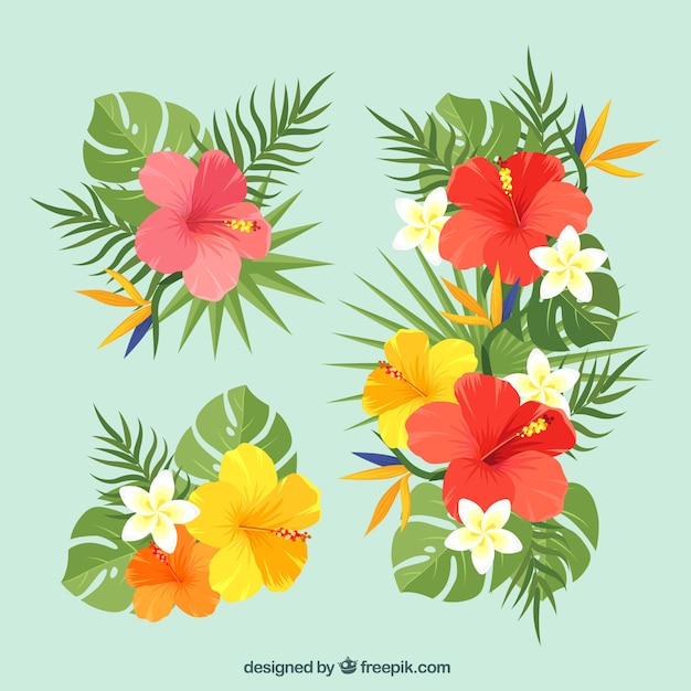 Beautiful tropical flowers set 