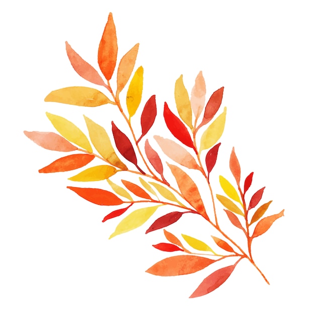 Free Vector beautiful watercolor autumn leaf