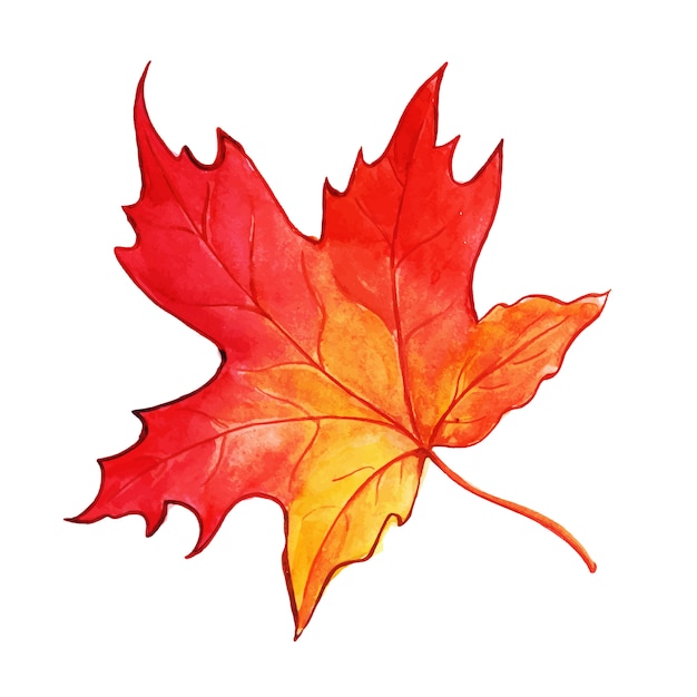 Beautiful Watercolor Autumn Leaf