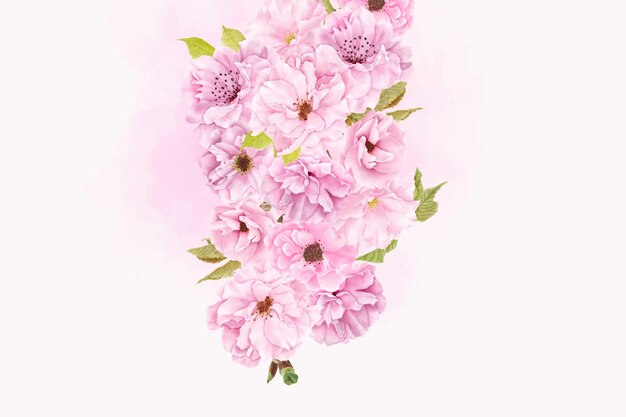 beautiful watercolor cherry blossom background design