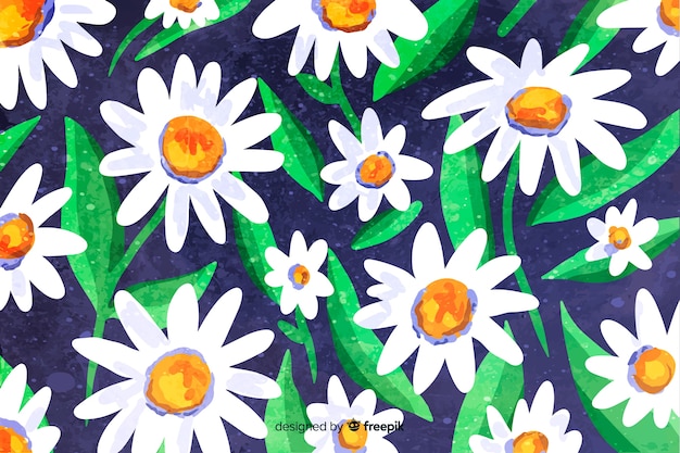 Free Vector beautiful watercolor daisy flower background