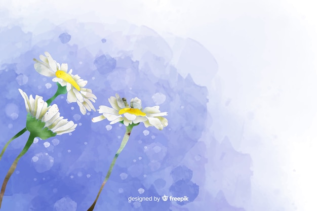 Free Vector beautiful watercolor daisy flower background