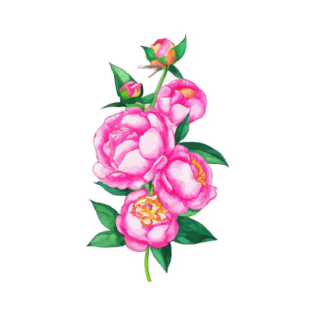 Beautiful watercolor flower plant illustration