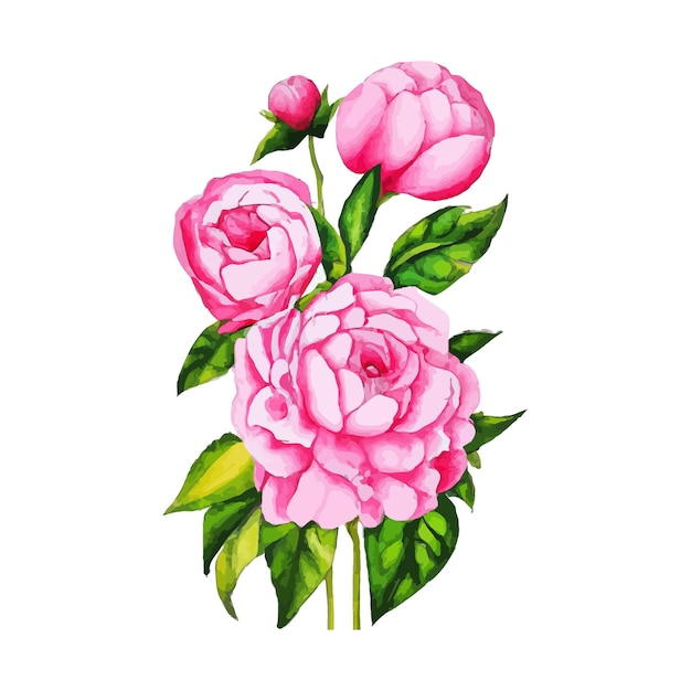 Beautiful watercolor flower plant illustration