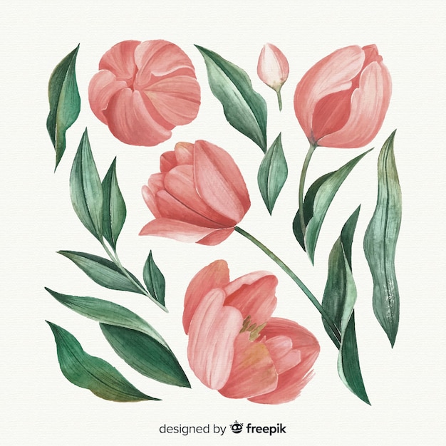 Beautiful watercolor flowers and leaves