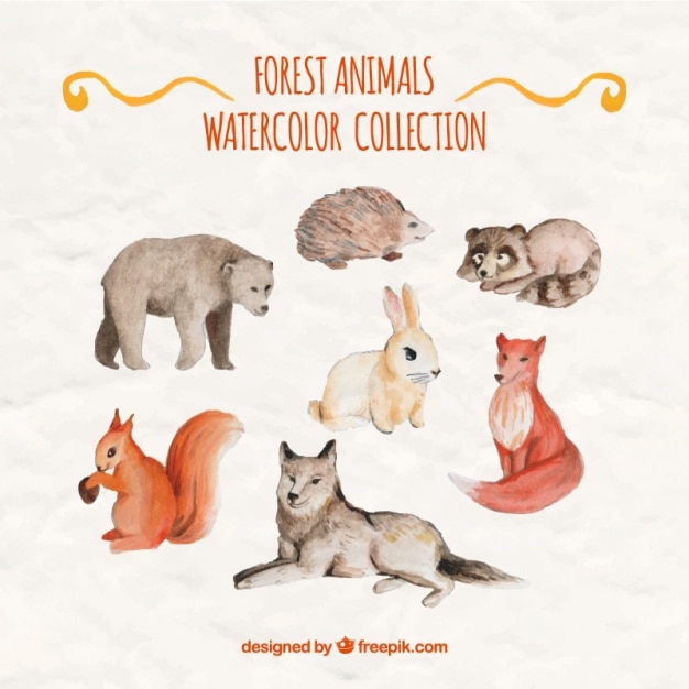 Free vector beautiful watercolor forest animals