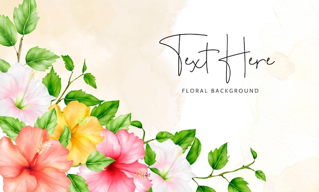 beautiful watercolor hibiscus flower floral background