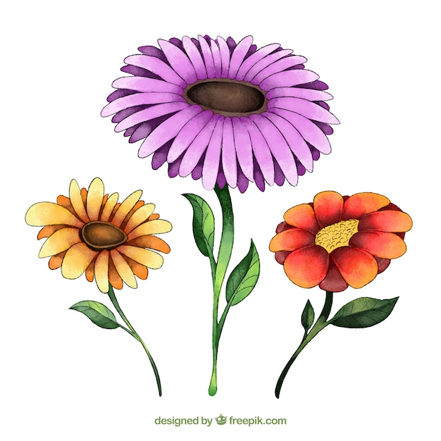 Free Vector beautiful watercolor spring flower collection