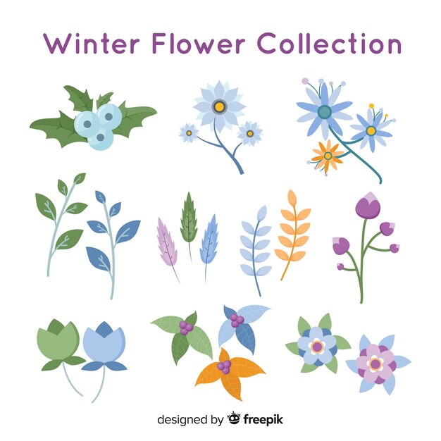 Beautiful winter flower collection