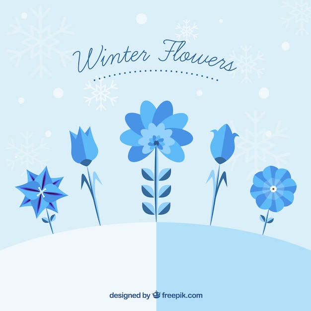 Beautiful winter flowers in blue tones