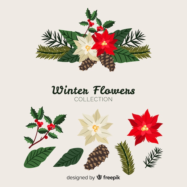 Free Vector beautiful winter flowers collection