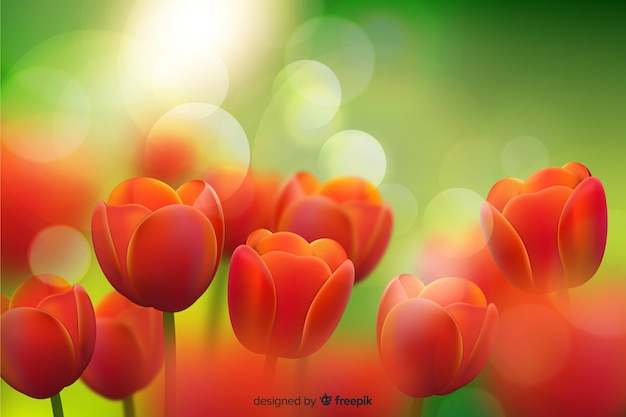 Beauty realistic tulips background