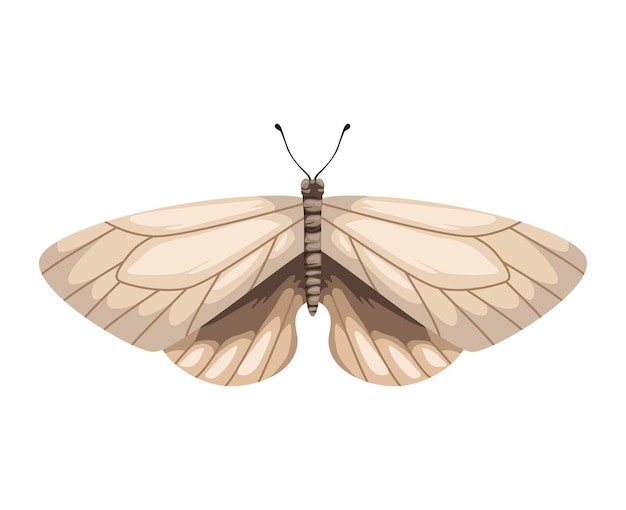 Free vector beauty white moth insect icon