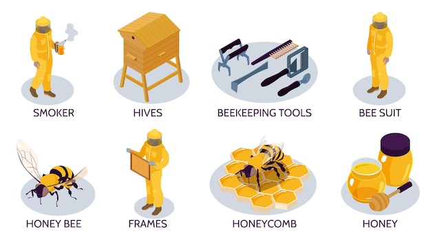 Free Vector beekeeping isometric isolated compositions set with honey bee hives beekeepers in protective suits using various tools 3d vector illustration