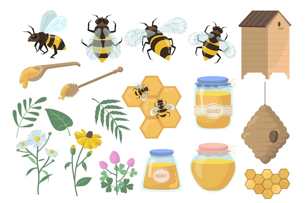 Free Vector bees and honey set. flowers, beehive and honeycombs, jar, pot and dipper isolated on white background.