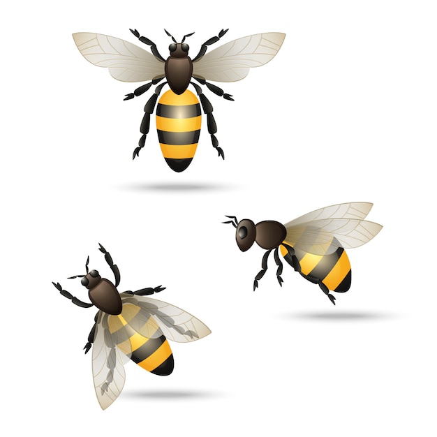 Free Vector bees icons set