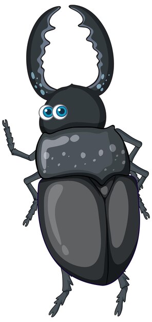 A beetle cartoon character isolated