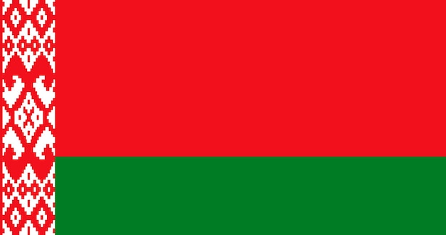 Belarus flag pattern vector