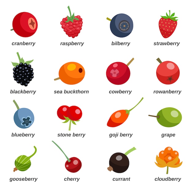 Free vector berries colored icons set with inscription