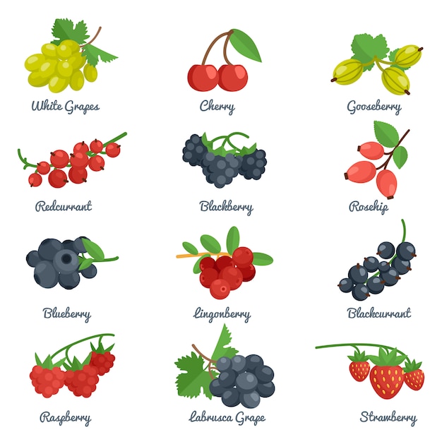 Berries Flat Icons Set