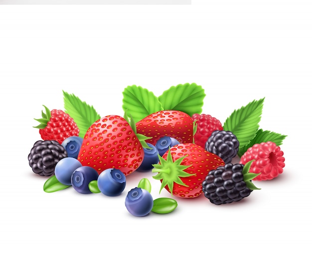 Free Vector  berries realistic composition 