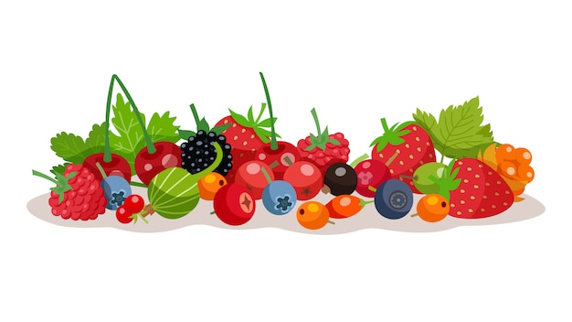 Berries Vector Illustration