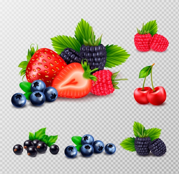 Berry fruit realistic set with clusters of ripe berries and green leaves images on transparent background