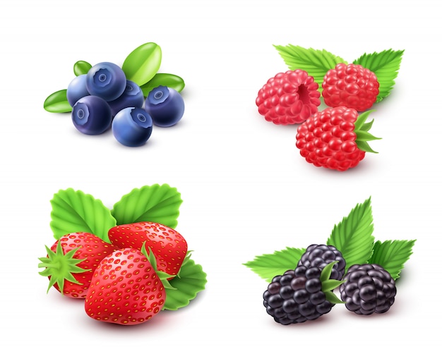 Free vector berry realistic set