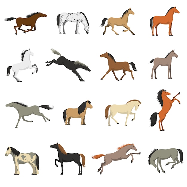 Free vector best horse breeds pictures icons set