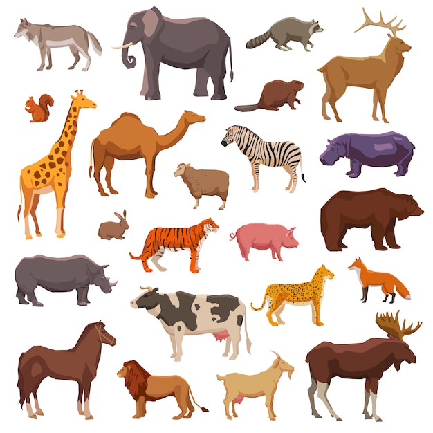 Free vector big animals set