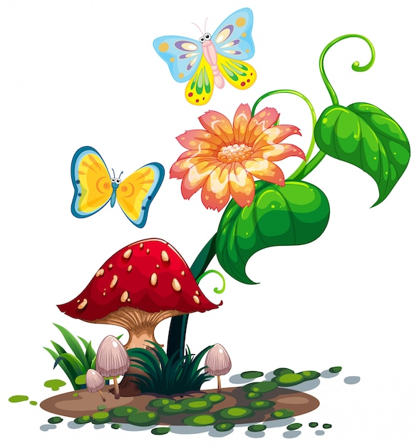 A big flower near the mushroom with two butterflies