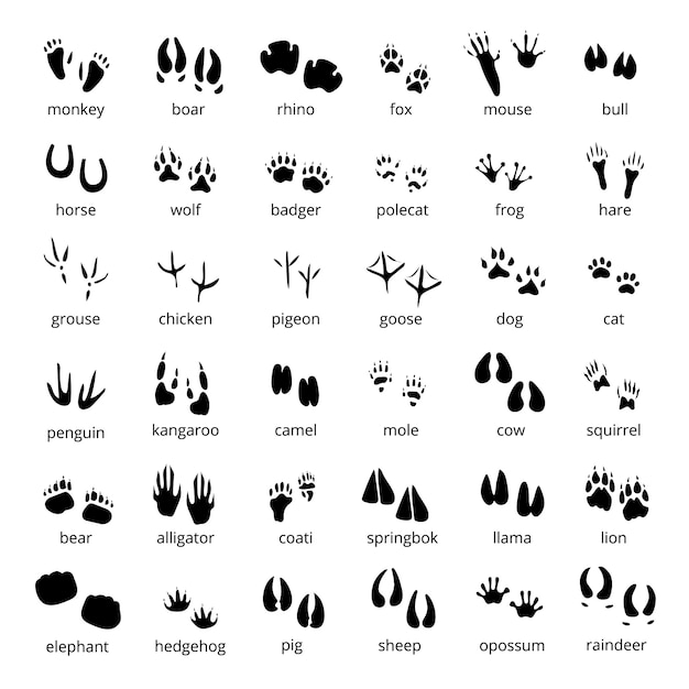 Free Vector big monochrome set of different animals