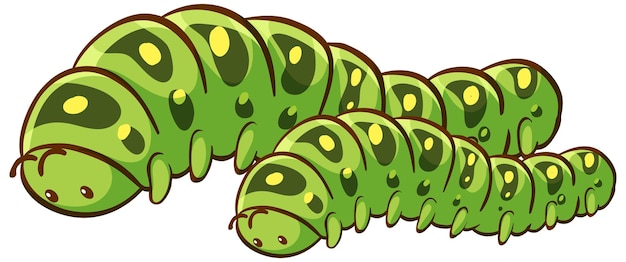 Free vector big and small caterpillars animal cartoon on white background