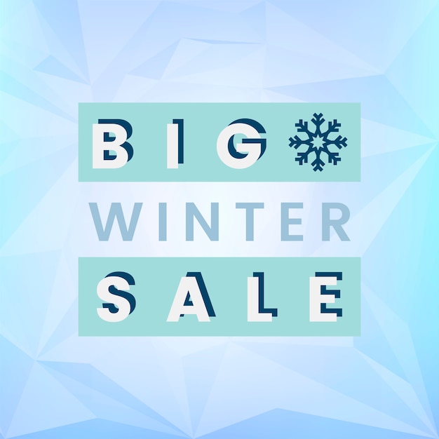 Big winter sale badge vector