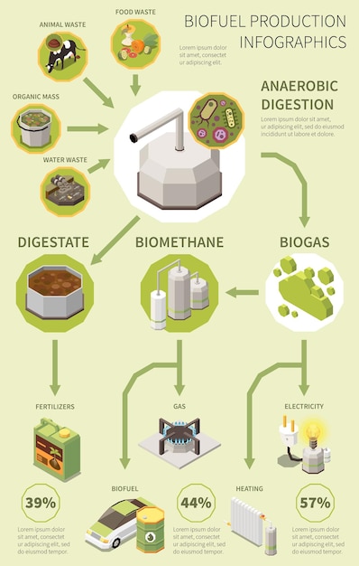 Free Vector biofuel infographics poster with production process from organic waste collection and anaerobic digestion to biogas fertilizer electricity vector illustration